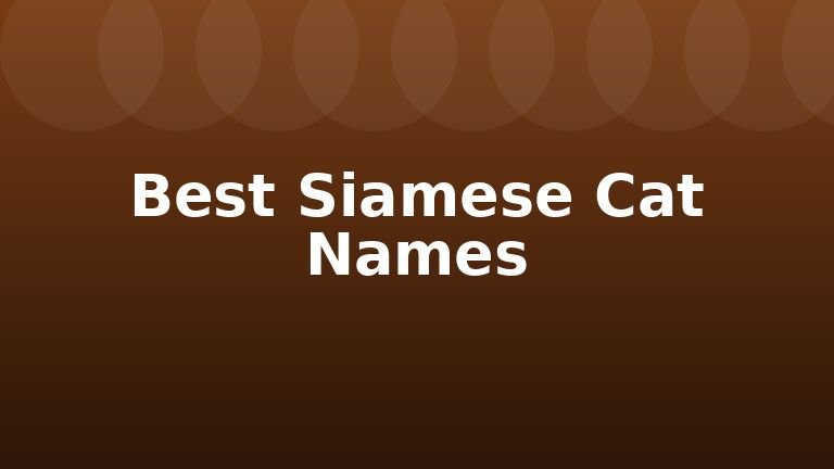 Best Siamese Cat Names