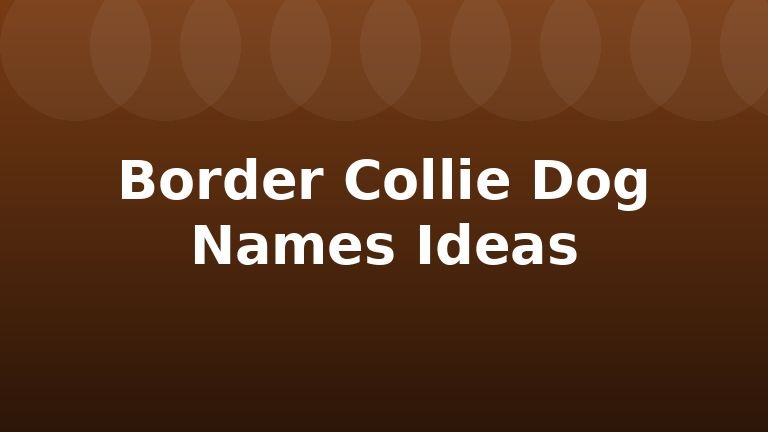 Border Collie Dog Names Ideas