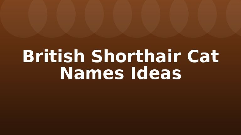 British Shorthair Cat Names Ideas