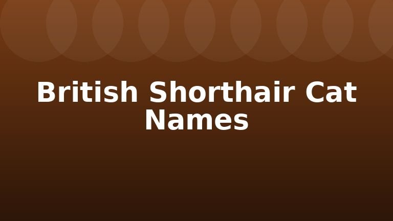 British Shorthair Cat Names
