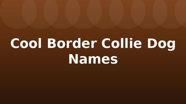 Cool Border Collie Dog Names