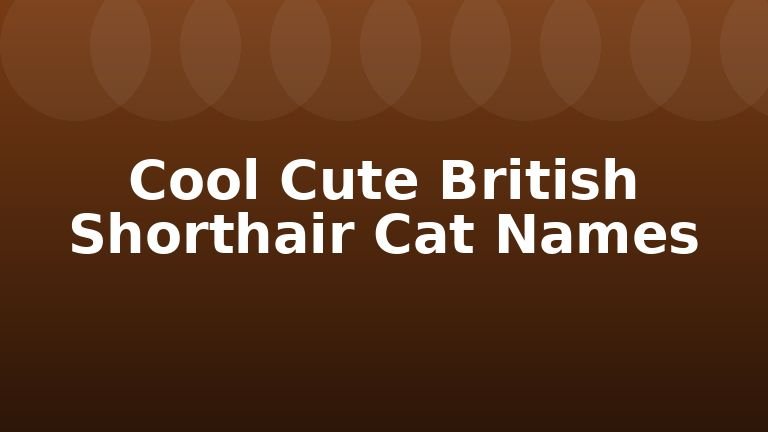 Cool Cute British Shorthair Cat Names