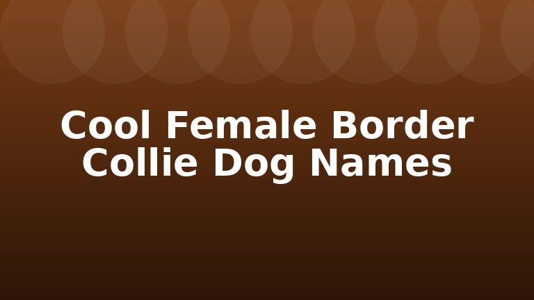 Cool Female Border Collie Dog Names
