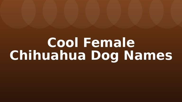 Cool Female Chihuahua Dog Names