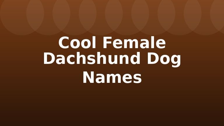 Cool Female Dachshund Dog Names