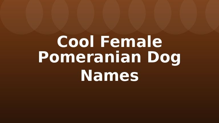 Cool Female Pomeranian Dog Names