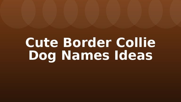 Cute Border Collie Dog Names Ideas