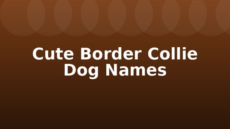 Cute Border Collie Dog Names