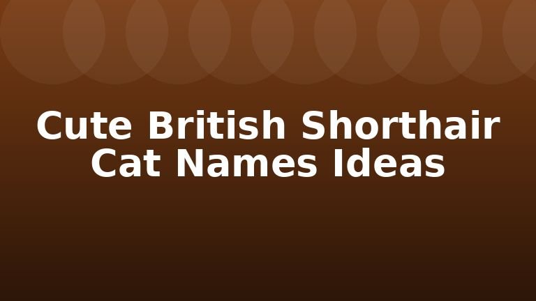 Cute British Shorthair Cat Names Ideas