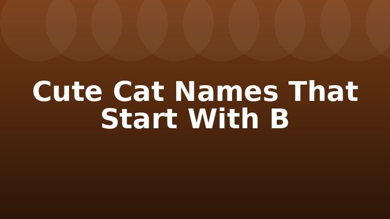 Cute Cat Names That Start With B
