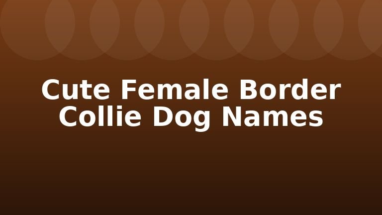 Cute Female Border Collie Dog Names