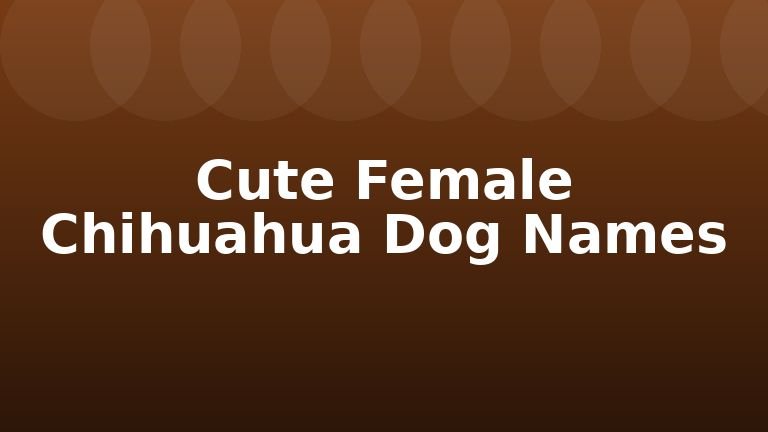 Cute Female Chihuahua Dog Names