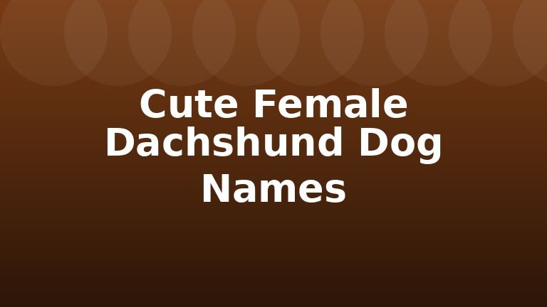Cute Female Dachshund Dog Names