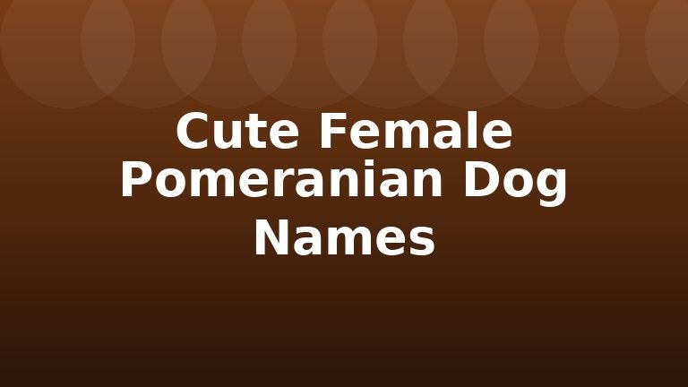 Cute Female Pomeranian Dog Names