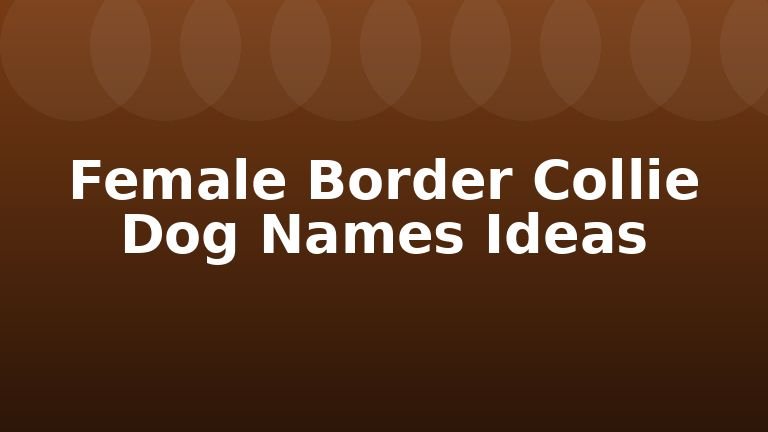 Female Border Collie Dog Names Ideas