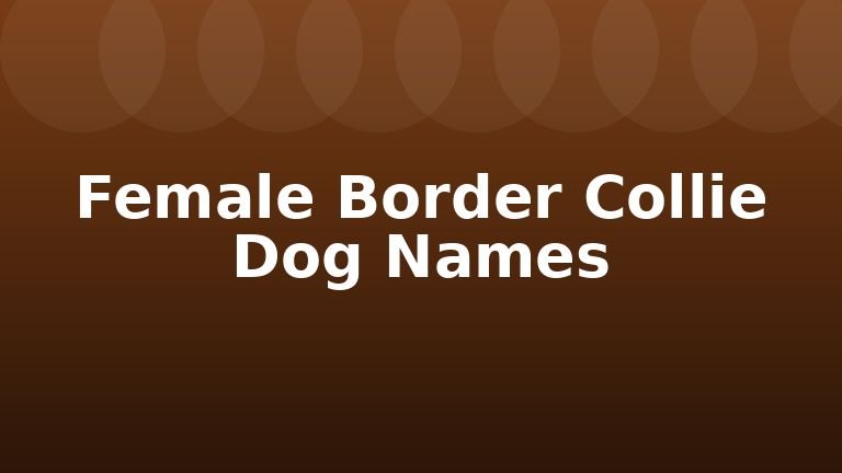 Female Border Collie Dog Names