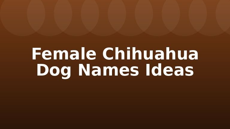 Female Chihuahua Dog Names Ideas