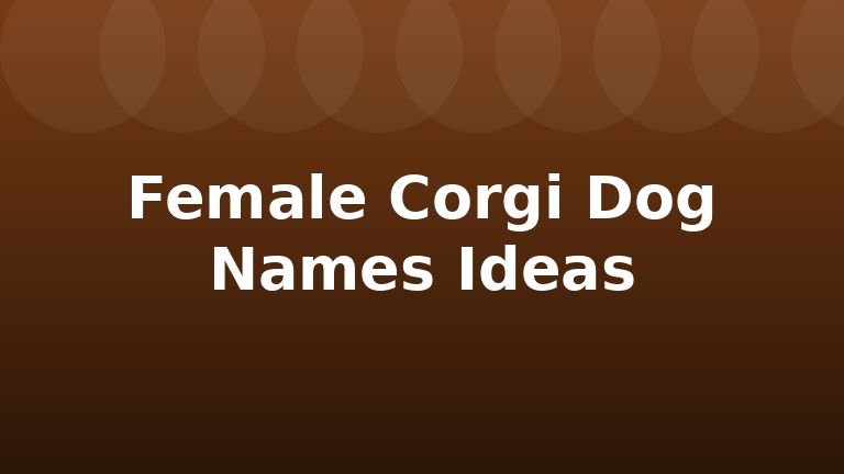 Female Corgi Dog Names Ideas