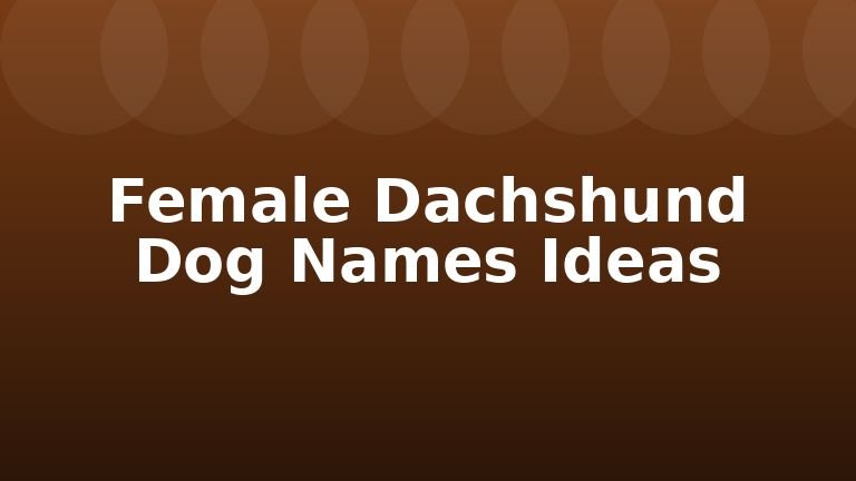 Female Dachshund Dog Names Ideas