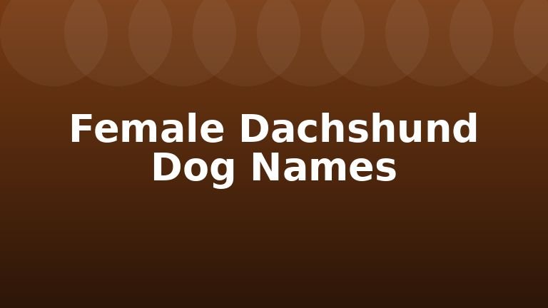Female Dachshund Dog Names