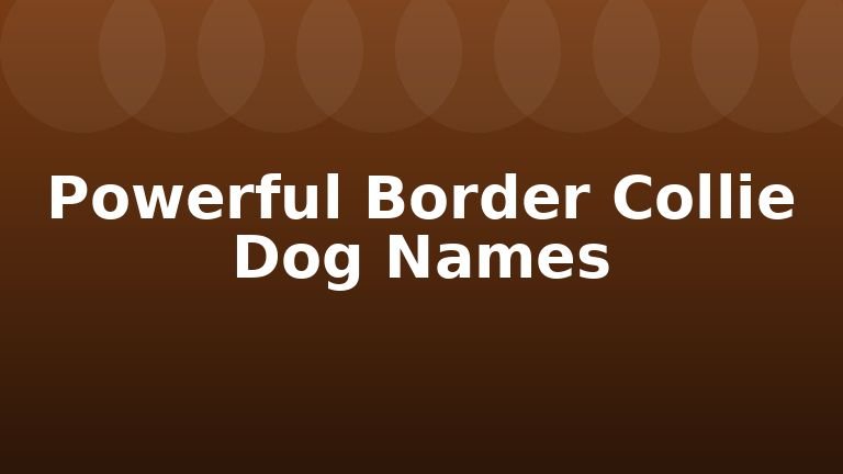 Powerful Border Collie Dog Names