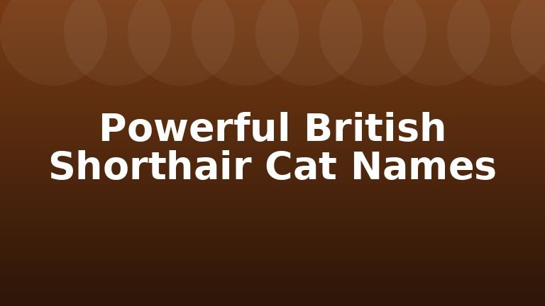 Powerful British Shorthair Cat Names