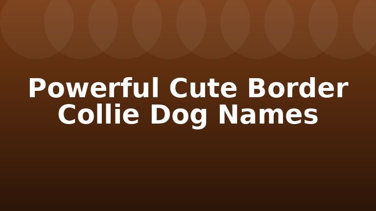 Powerful Cute Border Collie Dog Names