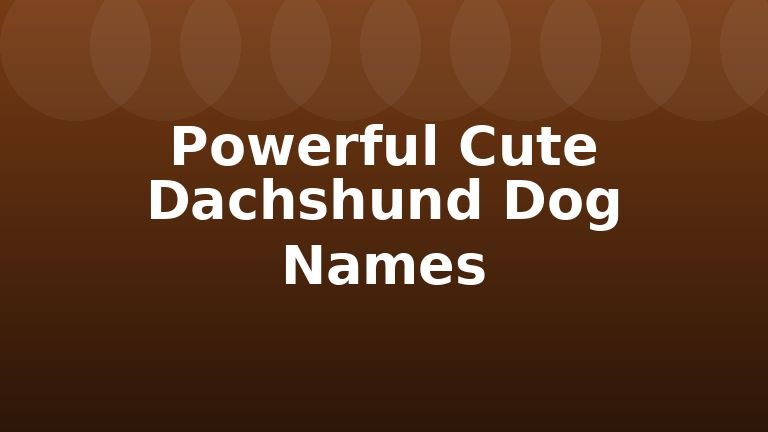 Powerful Cute Dachshund Dog Names