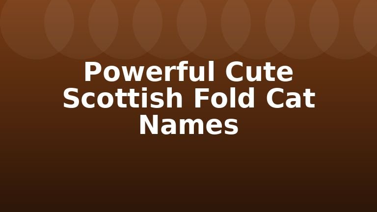 Powerful Cute Scottish Fold Cat Names