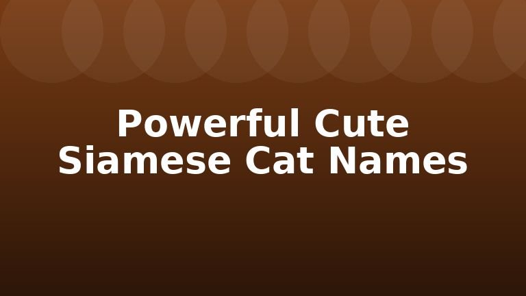 Powerful Cute Siamese Cat Names