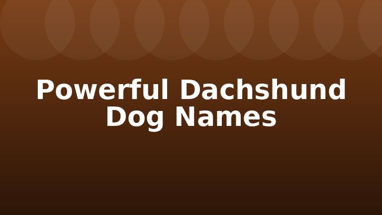 Powerful Dachshund Dog Names