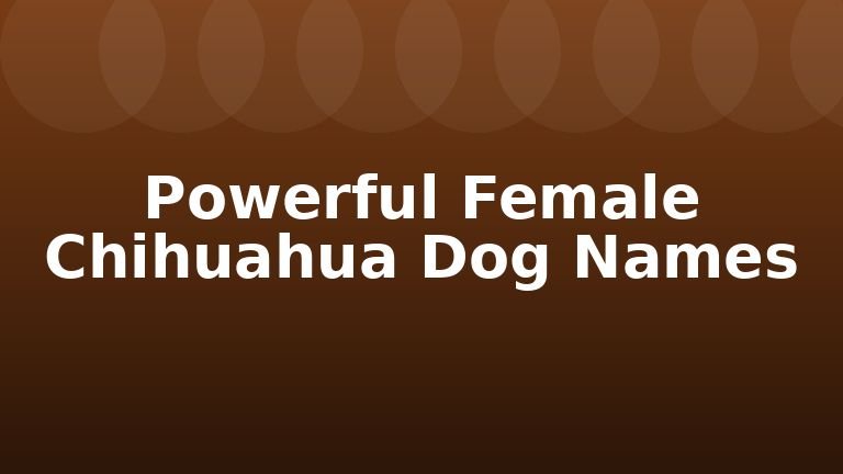 Powerful Female Chihuahua Dog Names