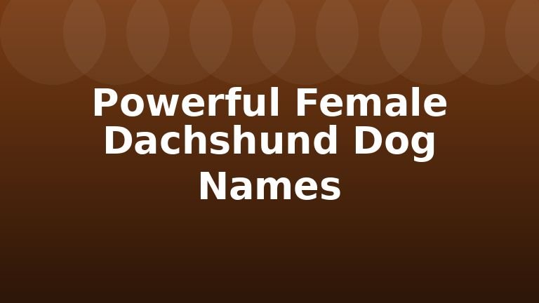 Powerful Female Dachshund Dog Names