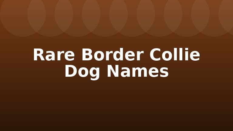 Rare Border Collie Dog Names