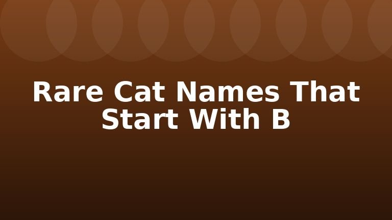 Rare Cat Names That Start With B