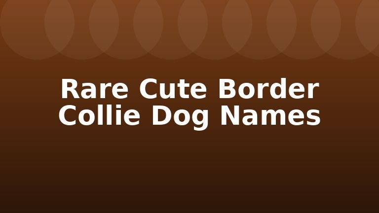Rare Cute Border Collie Dog Names