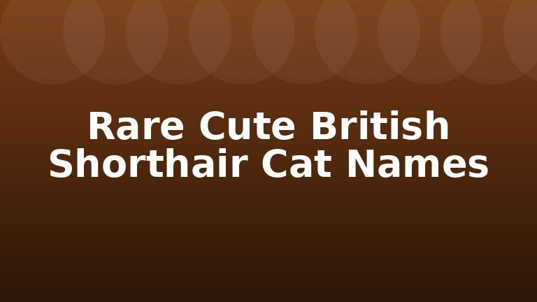 Rare Cute British Shorthair Cat Names
