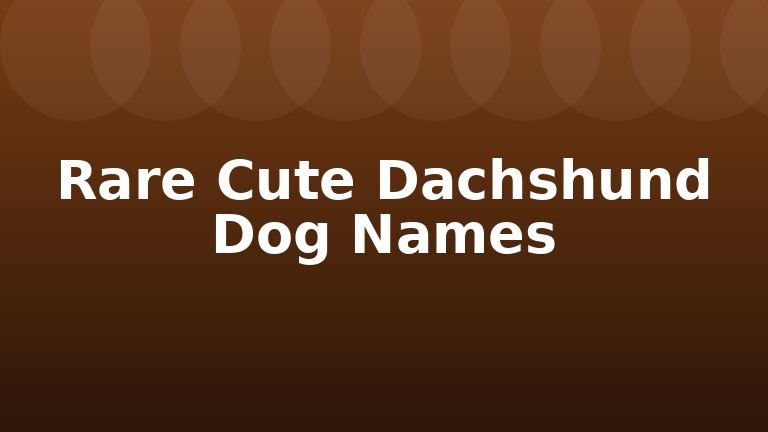 Rare Cute Dachshund Dog Names