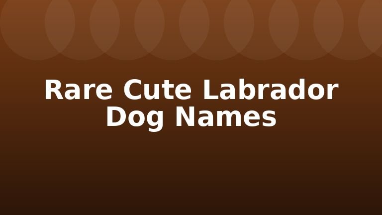 Rare Cute Labrador Dog Names