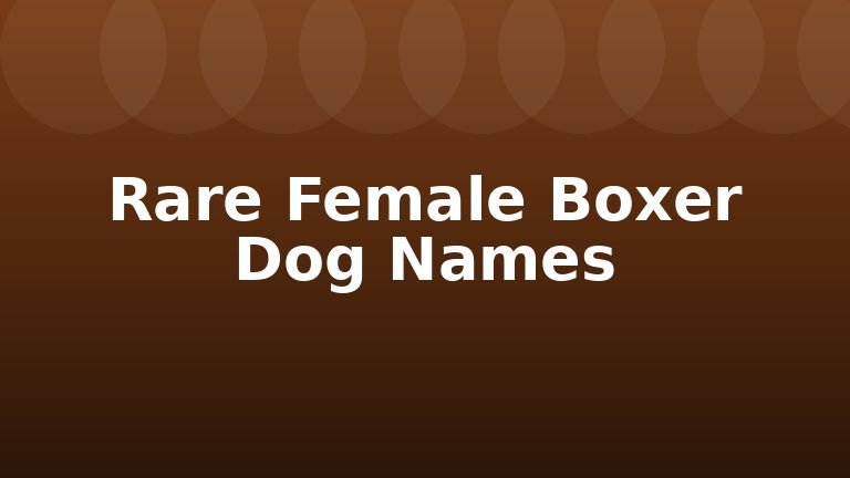 Rare Female Boxer Dog Names