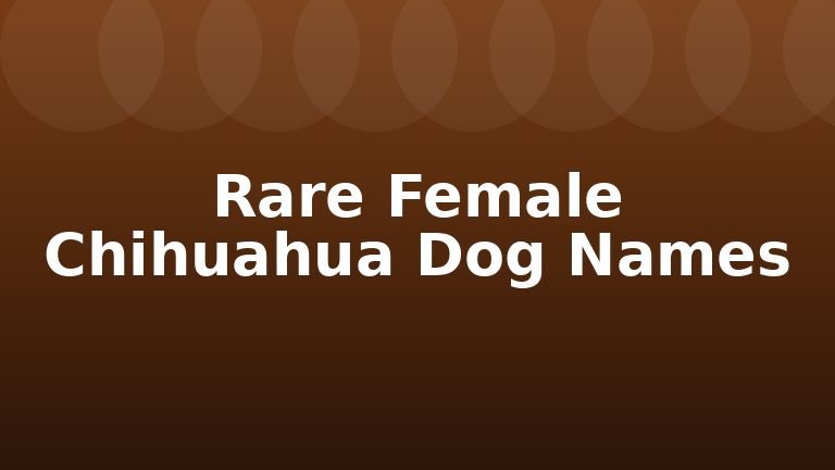 Rare Female Chihuahua Dog Names