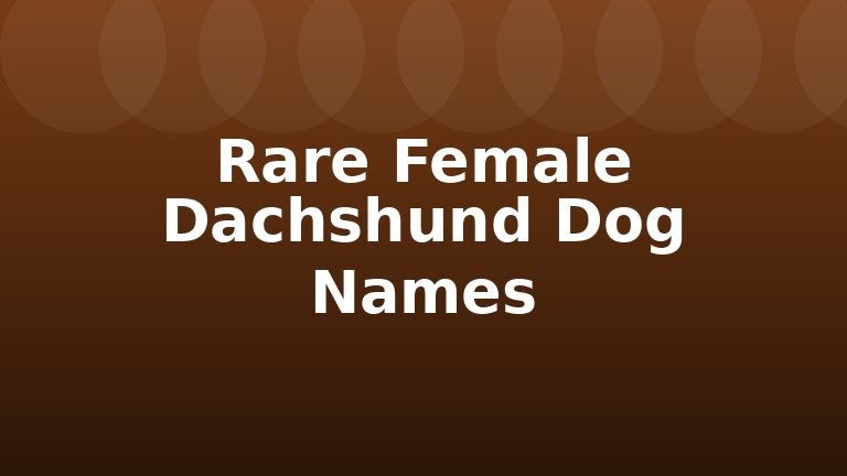 Rare Female Dachshund Dog Names