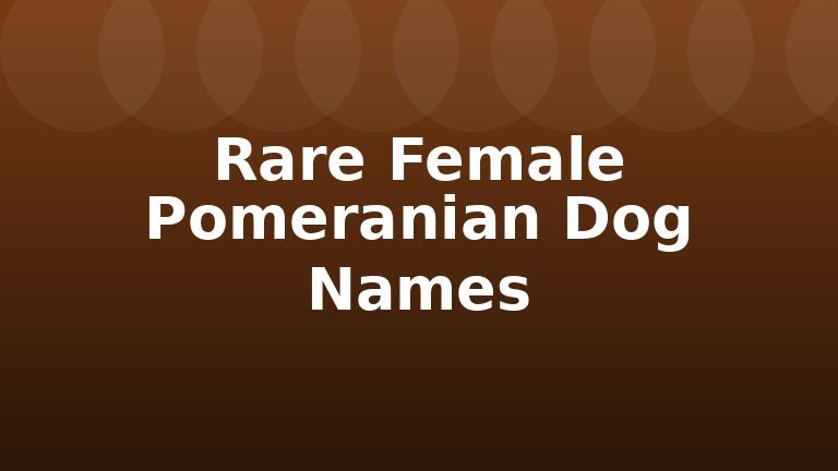Rare Female Pomeranian Dog Names