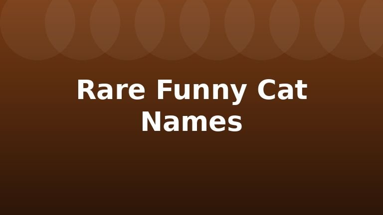 Rare Funny Cat Names