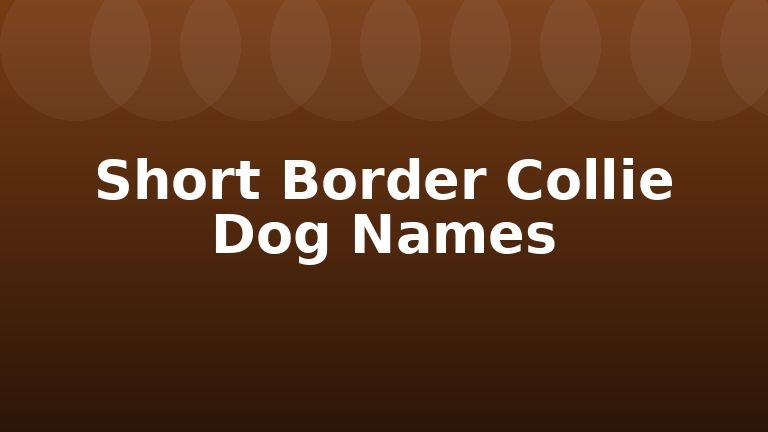 Short Border Collie Dog Names