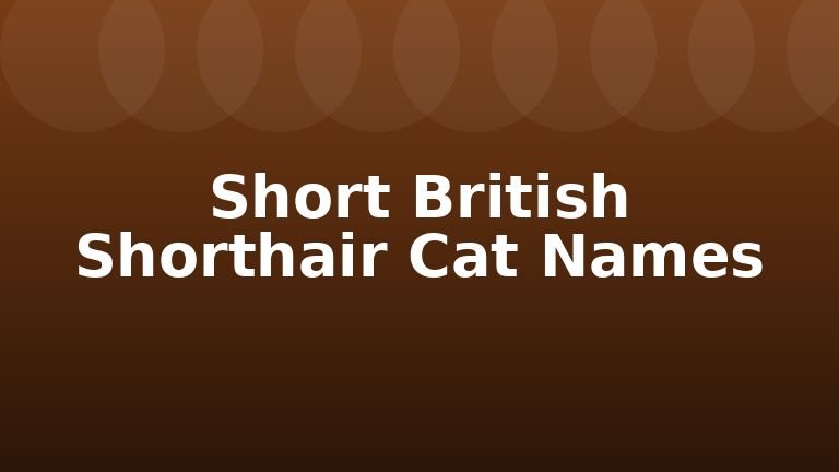 Short British Shorthair Cat Names