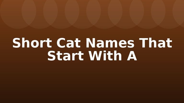 Short Cat Names That Start With A