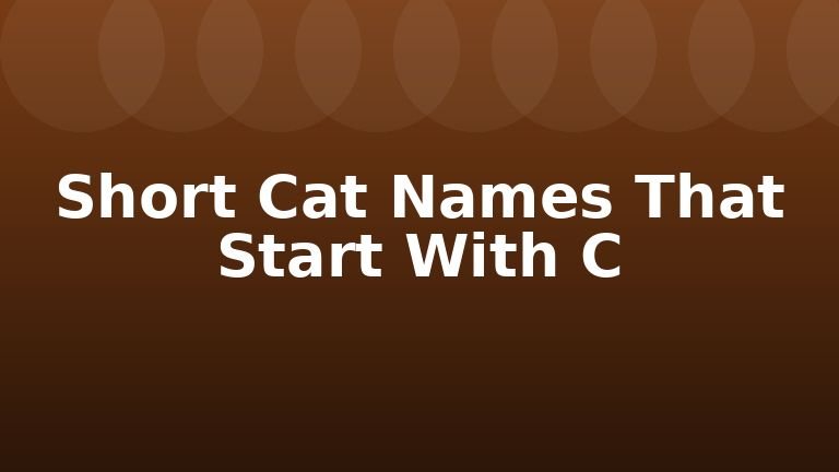 Short Cat Names That Start With C