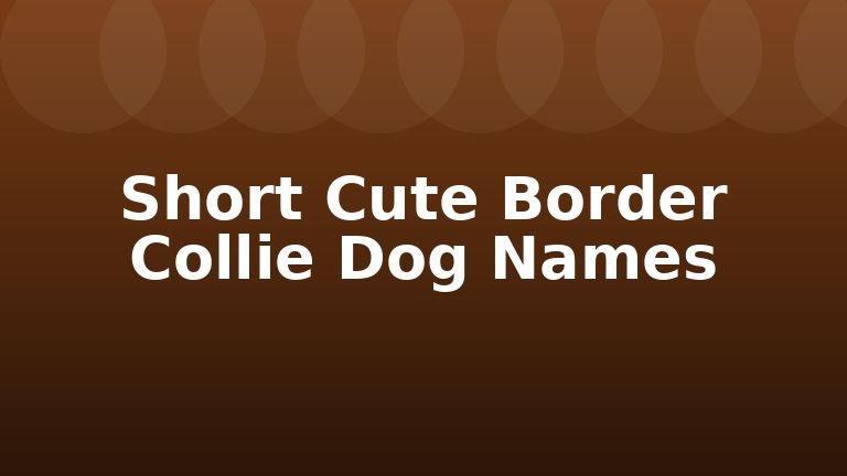 Short Cute Border Collie Dog Names