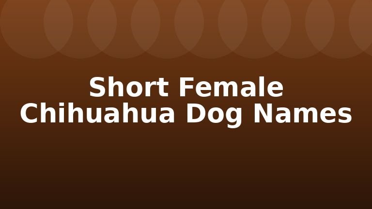 Short Female Chihuahua Dog Names